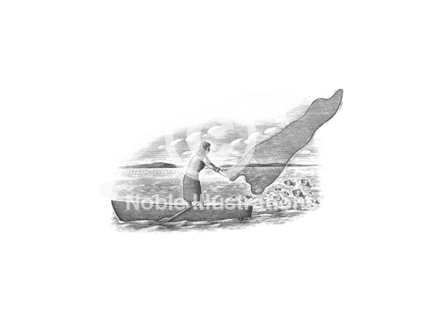 casting a financial net